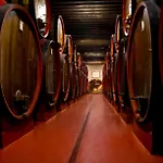 Gospodarstwo wiejskie Castello Di *