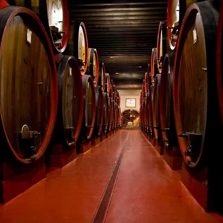 בית כפרי Castello Di *