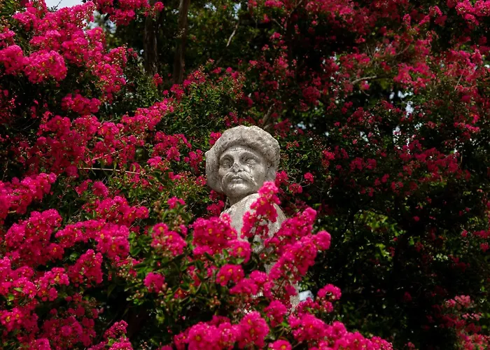Séjour à la campagne Castello Di Roncade