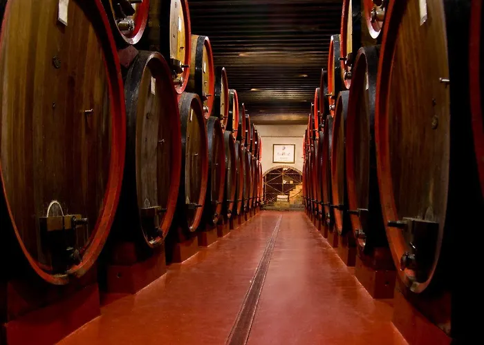 Gospodarstwo wiejskie Castello Di *